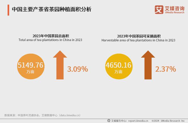 025年中国茶叶产业发展及消费者洞察行业报告AG真人九游会登录网址艾媒咨询｜2024-2(图17)